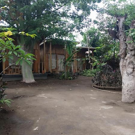 Beach Box Bungalow 吉利特拉旺安 外观 照片