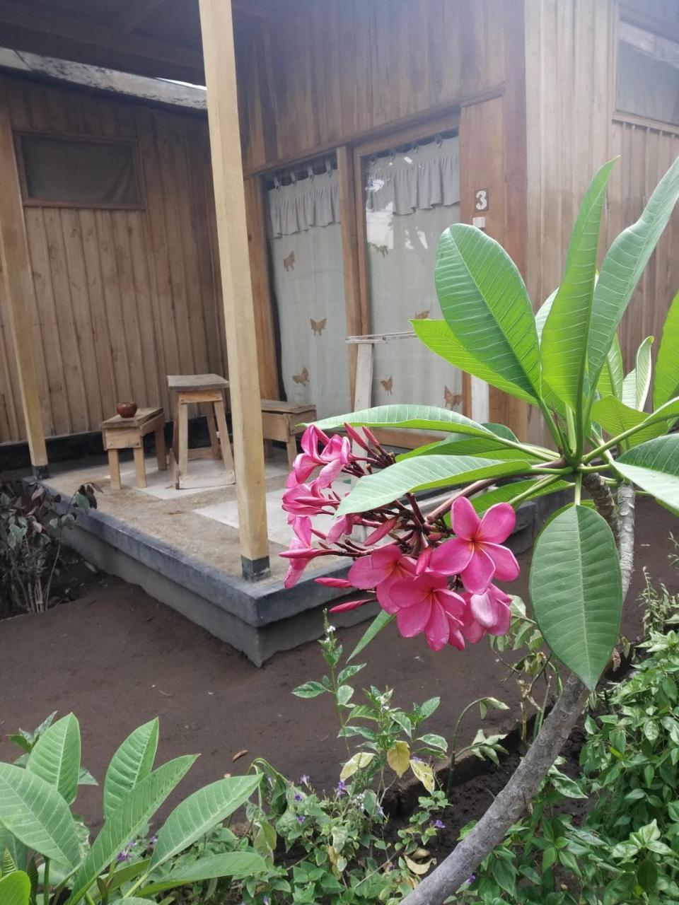 Beach Box Bungalow 吉利特拉旺安 外观 照片