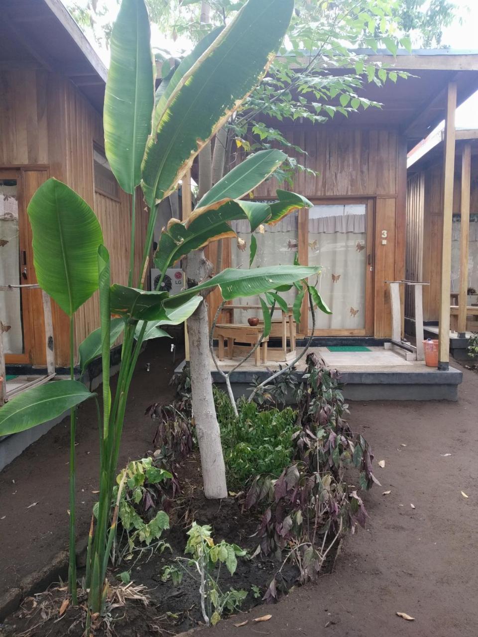 Beach Box Bungalow 吉利特拉旺安 外观 照片