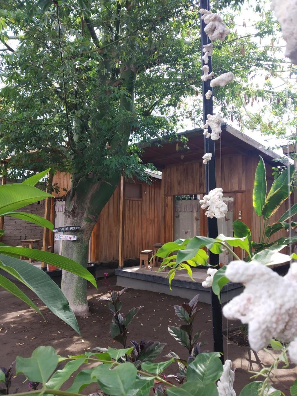 Beach Box Bungalow 吉利特拉旺安 外观 照片